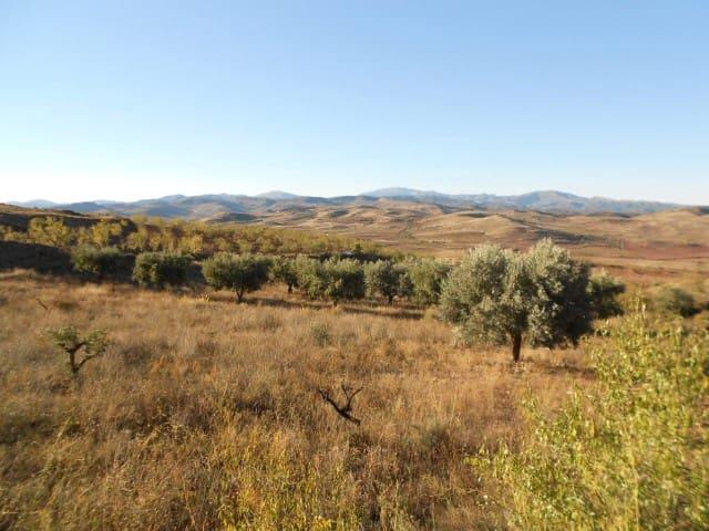 Finca/Casa Rural en venta en Illueca, Zaragoza