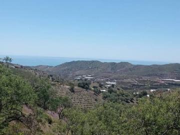 Finca/Casa Rural en venta en Iznate, Málaga Costa del Sol