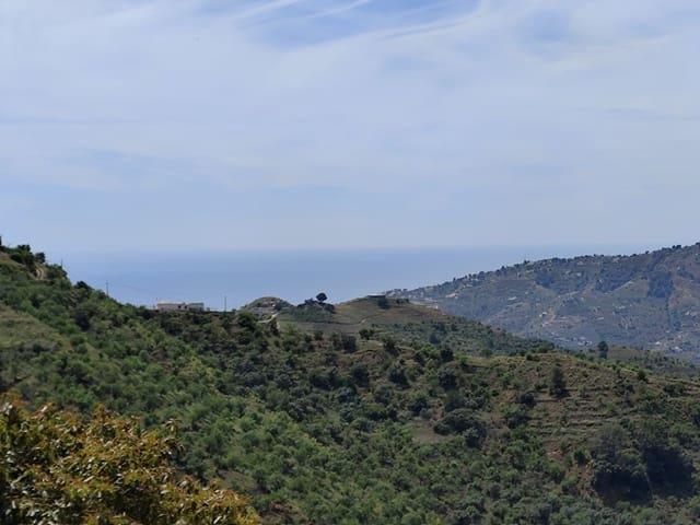 Finca/Casa Rural en venta en Jete, Granada Costa Tropical