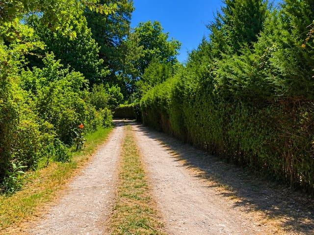 Finca/Casa Rural en venta en Jimena de la Frontera, Cádiz