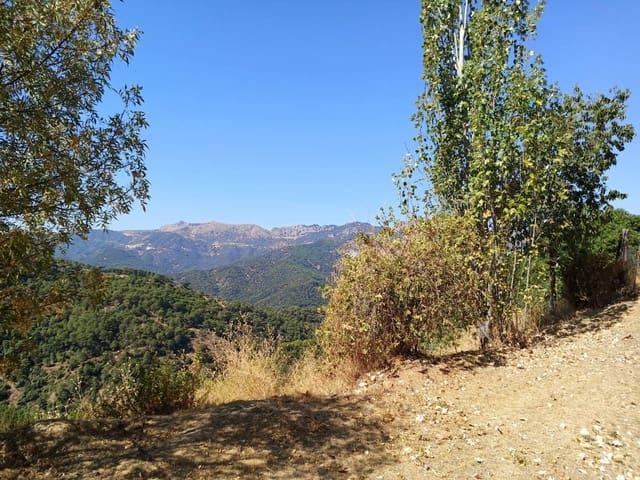 Finca/Casa Rural en venta en Jubrique, Málaga