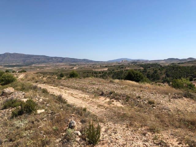 Finca/Casa Rural en venta en La Zarza, Murcia