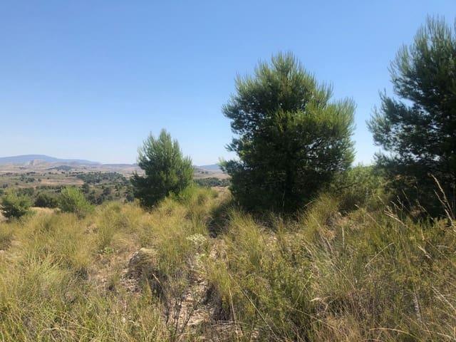 Finca/Casa Rural en venta en La Zarza, Murcia