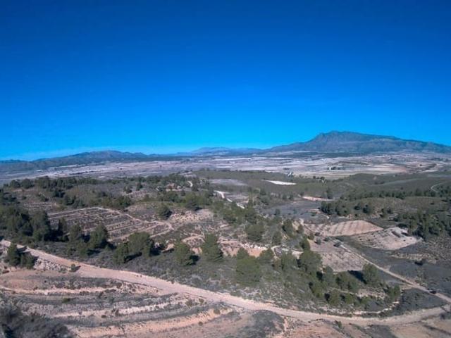 Finca/Casa Rural en venta en La Zarza, Murcia