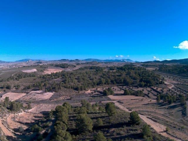 Finca/Casa Rural en venta en La Zarza, Murcia