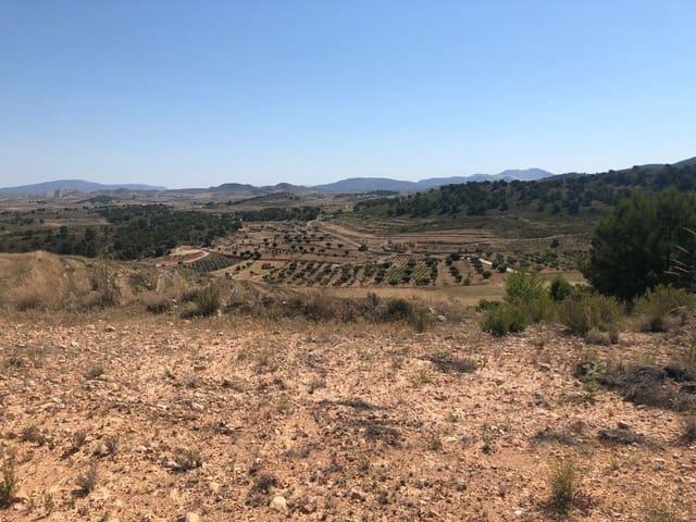 Finca/Casa Rural en venta en La Zarza, Murcia