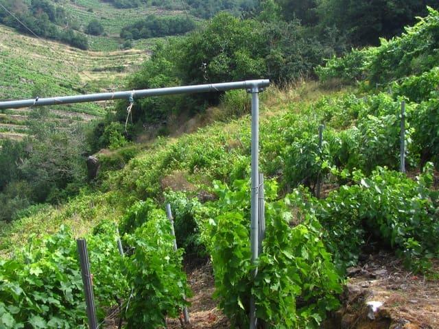 Finca/Casa Rural en venta en O Saviñao, Lugo