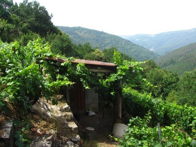 Finca/Casa Rural en venta en O Saviñao, Lugo