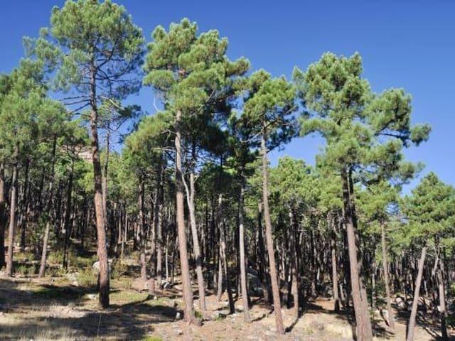 Finca/Casa Rural en venta en Onil, Alicante