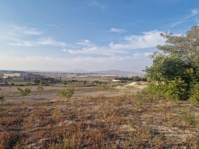 Finca/Casa Rural en venta en Orce, Granada