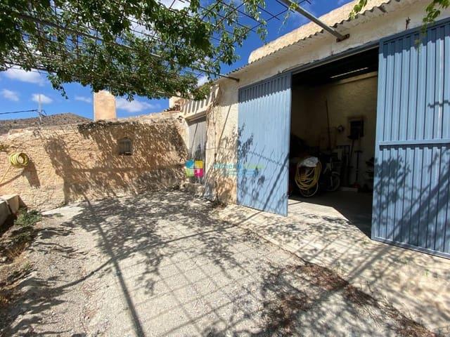 Finca/Casa Rural en venta en Oria, Almería
