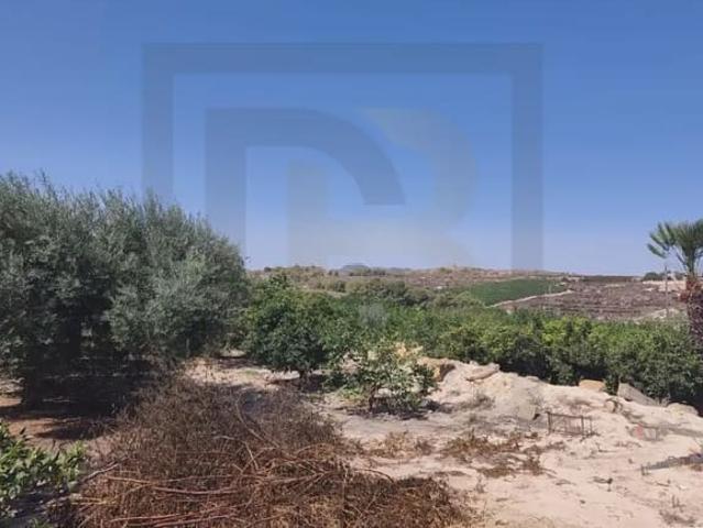 Finca/Casa Rural en venta en Orihuela, Alicante