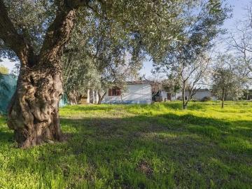 Finca/Casa Rural en venta en Otura, Granada