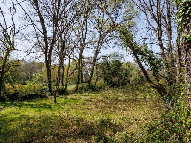 Finca/Casa Rural en venta en Outeiro de Rei, Lugo