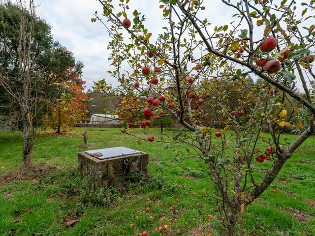 Finca/Casa Rural en venta en Outeiro de Rei, Lugo