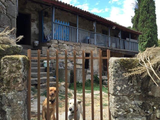 Finca/Casa Rural en venta en Ourense, Orense