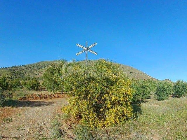 Finca/Casa Rural en venta en Lorca, Murcia