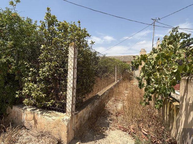 Finca/Casa Rural en venta en Los Martinez del Puerto, Murcia