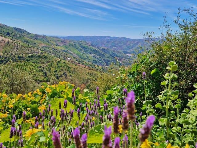 Finca/Casa Rural en venta en Los Romanes, Málaga