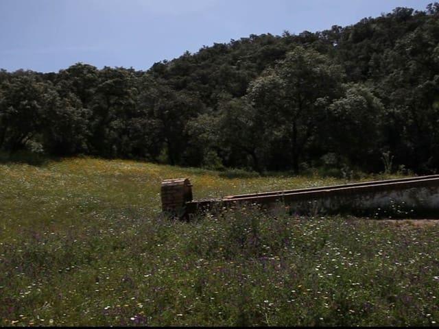 Finca/Casa Rural en venta en La Carlota, Córdoba