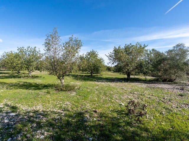 Finca/Casa Rural en venta en La Galera, Tarragona