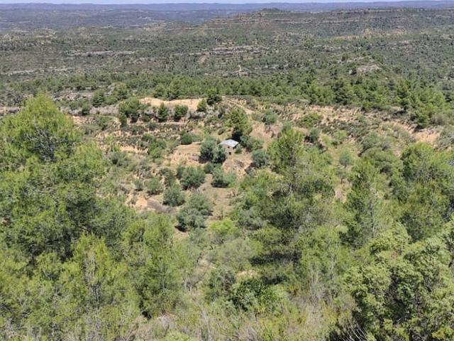 Finca/Casa Rural en venta en Vinebre, Tarragona