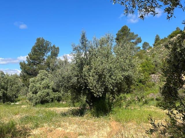 Finca/Casa Rural en venta en La Fresneda, Teruel