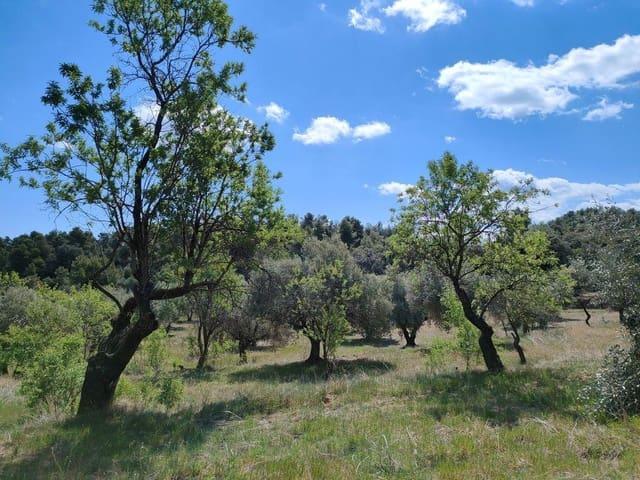 Finca/Casa Rural en venta en La Fresneda, Teruel