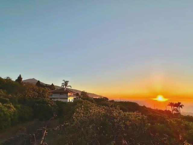 Finca/Casa Rural en venta en La Orotava, Tenerife