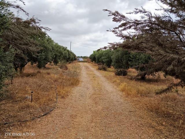 Finca/Casa Rural en venta en La Magdalena, Murcia Costa Cálida