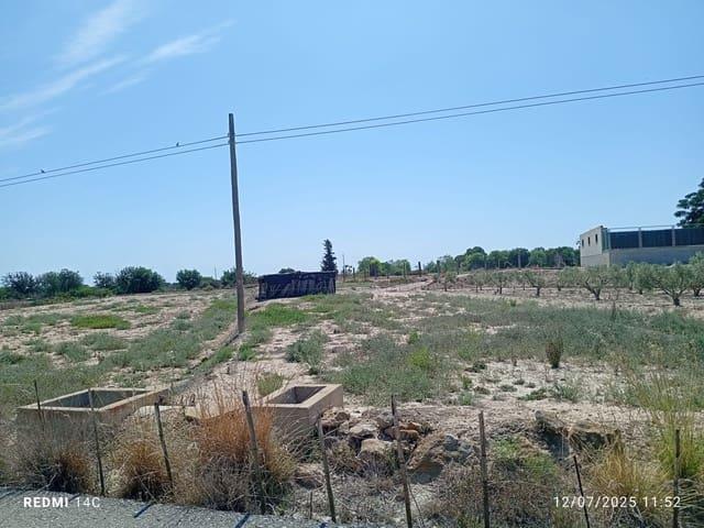 Finca/Casa Rural en venta en La Marina, Alicante Costa Blanca