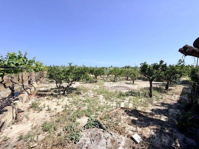 Finca/Casa Rural en venta en La Marina, Alicante Costa Blanca