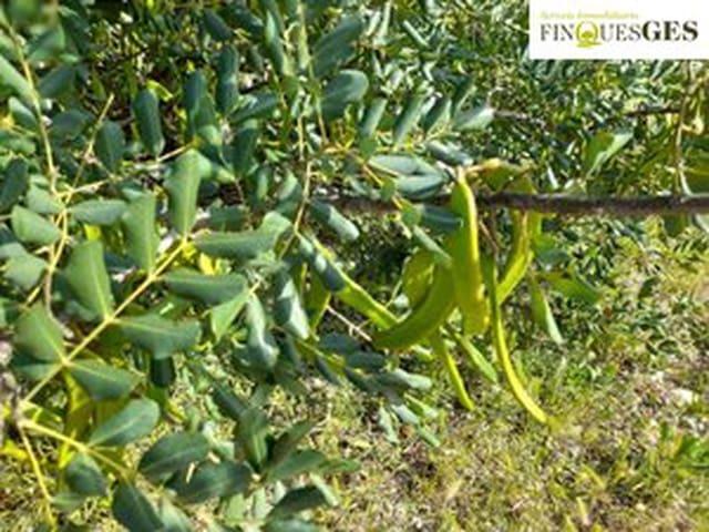 Finca/Casa Rural en venta en La Secuita, Tarragona