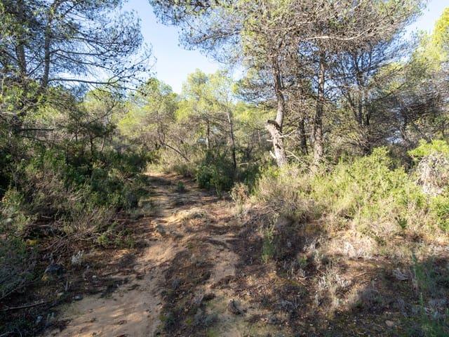 Finca/Casa Rural en venta en La Pobla de Benifassà, Castellón