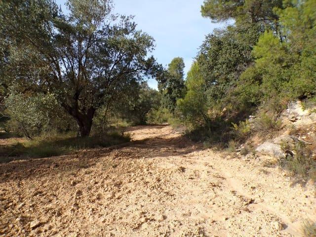 Finca/Casa Rural en venta en La Fresneda, Teruel