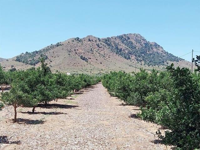 Finca/Casa Rural en venta en La Pinilla, Murcia Costa Cálida