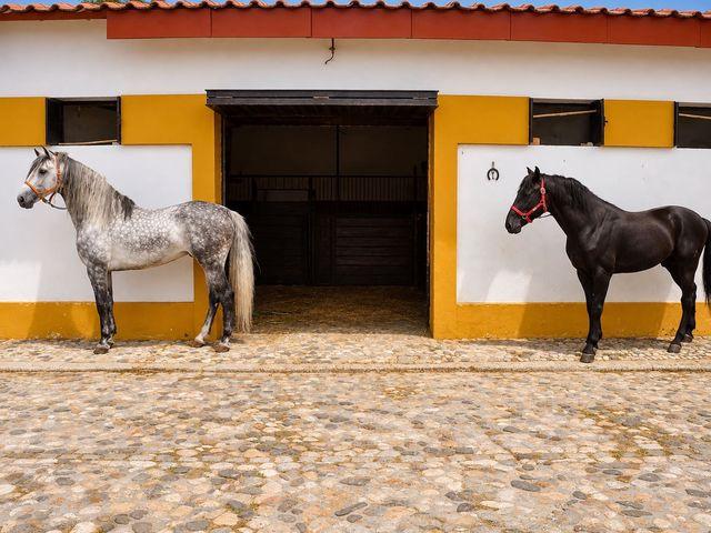 Finca/Casa Rural en venta en La Puebla de Cazalla, Sevilla