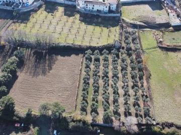 Finca/Casa Rural en venta en La Zubia, Granada