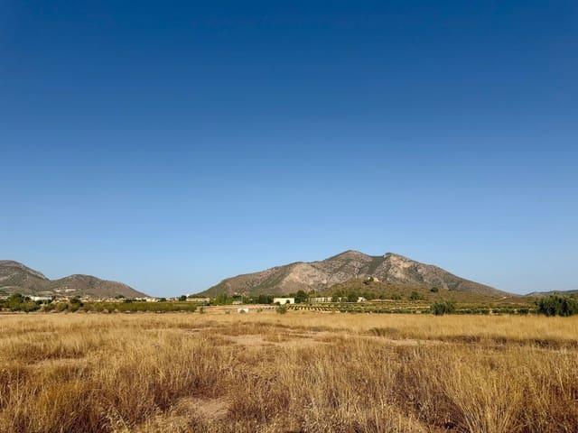 Finca/Casa Rural en venta en L'Algueña / Alguenya, Alicante