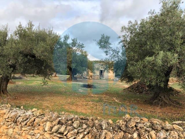 Finca/Casa Rural en venta en L'Ampolla, Tarragona Costa Dorada
