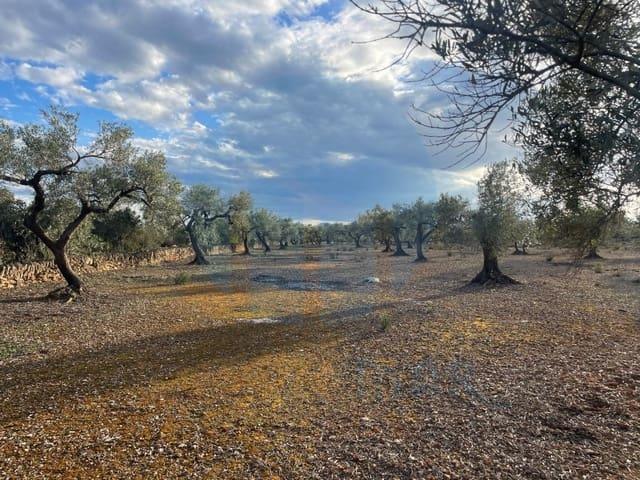 Finca/Casa Rural en venta en L'Ampolla, Tarragona Costa Dorada