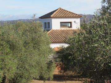 Finca/Casa Rural en venta en Las Navas de la Concepción, Sevilla