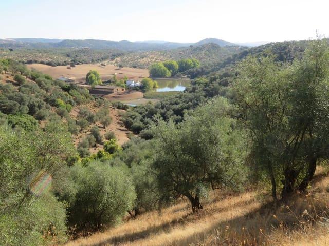 Finca/Casa Rural en venta en Las Navas de la Concepción, Sevilla