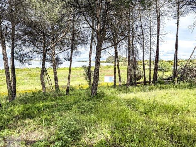 Finca/Casa Rural en venta en Lepe, Huelva Costa de la Luz