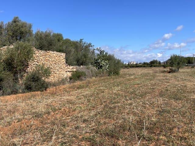 Finca/Casa Rural en venta en Llucmajor, Mallorca
