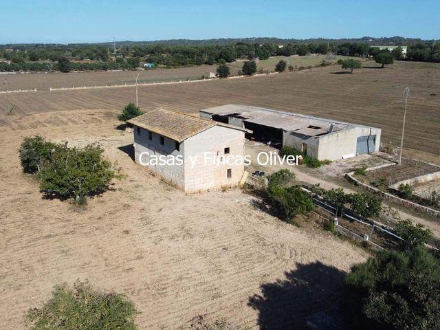 Finca/Casa Rural en venta en Llubí, Mallorca
