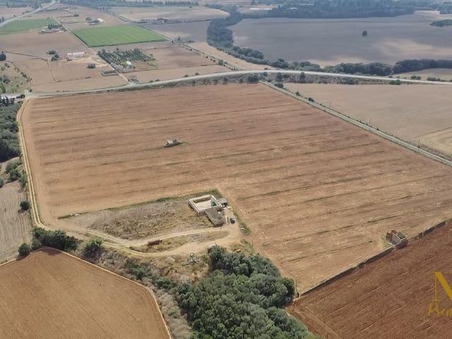 Finca/Casa Rural en venta en Llubí, Mallorca