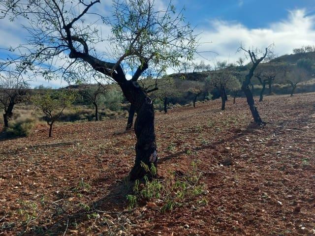Finca/Casa Rural en venta en Lubrín, Almería Costa Almería