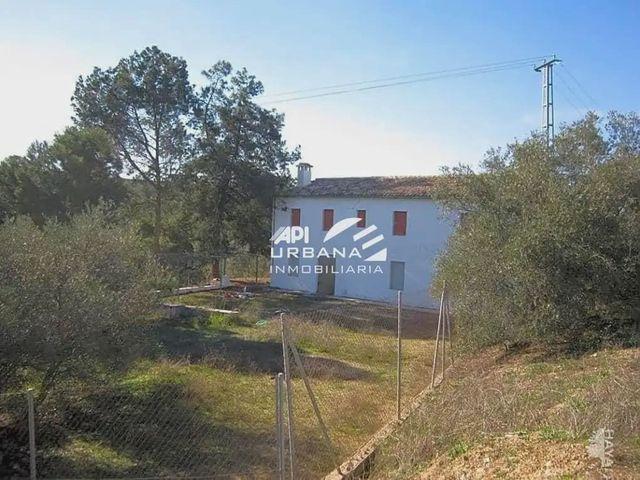 Finca/Casa Rural en venta en Lucena, Córdoba