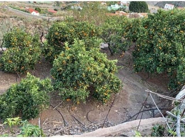 Finca/Casa Rural en venta en Mogán, Gran Canaria